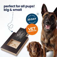 Powpies Nail Scratch Board — Stress-Free Dog Nail Filing